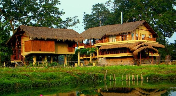 Diphlu Lodge, Kaziranga, Kaziranga 4